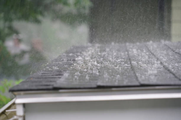 Best Roof Ventilation Installation  in Milbank, SD