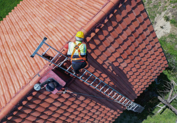 Best Asphalt Shingle Roofing  in Milbank, SD